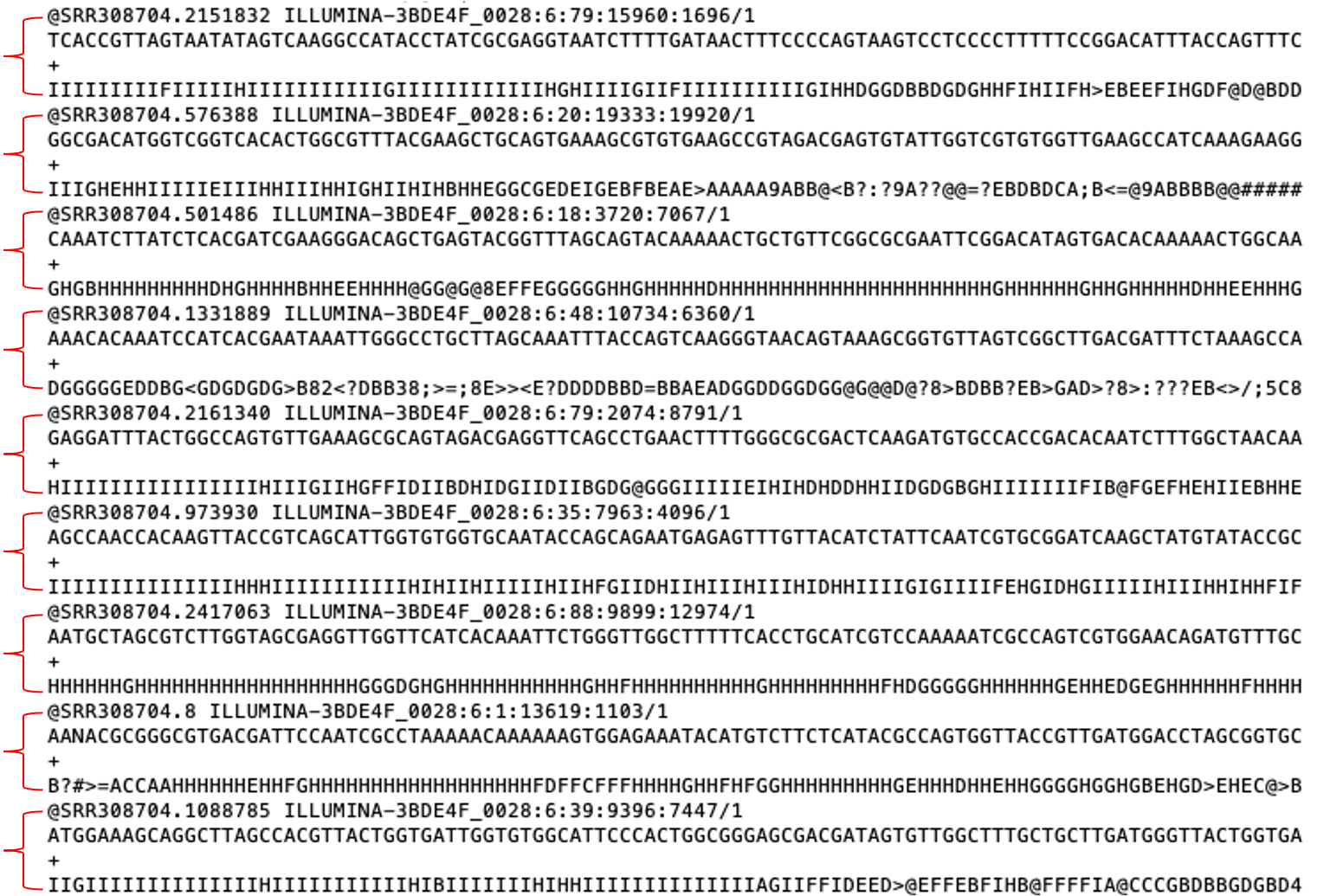 Phylogenetics – Bioinformatic methods for bacterial genomics, Cluj ...